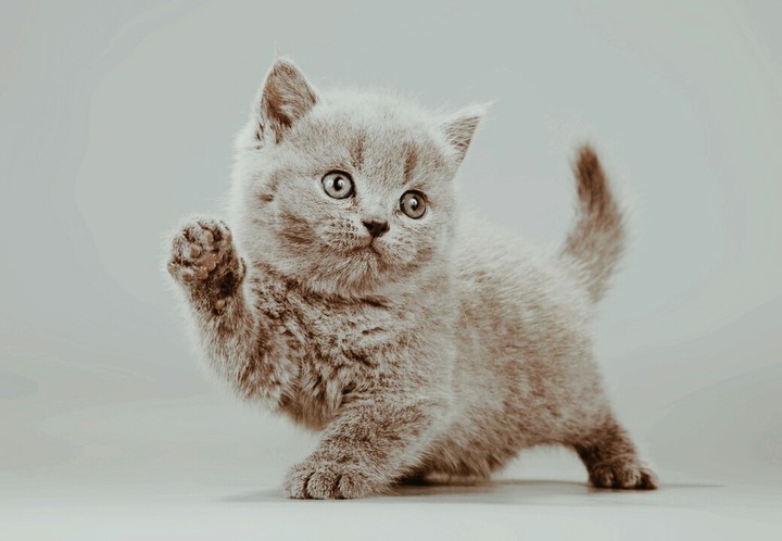 cute