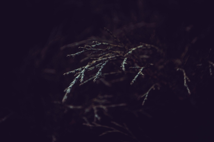 dark