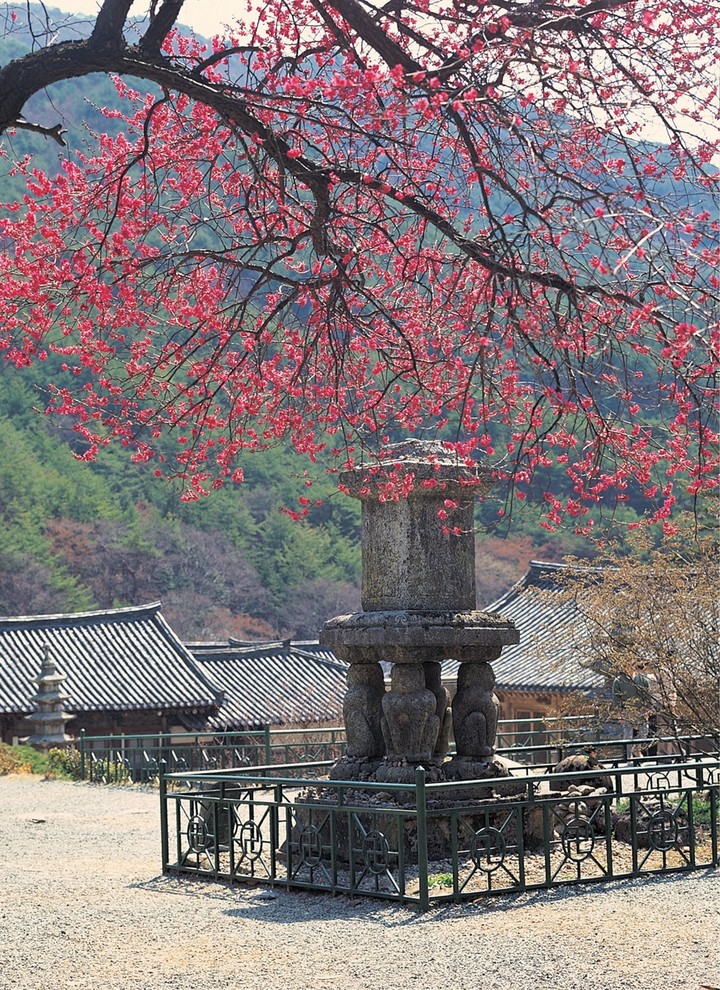 여행