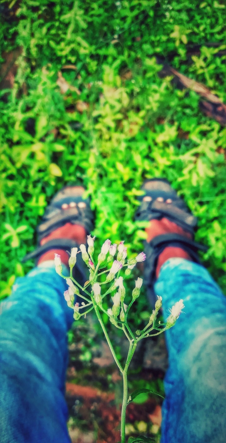 nature