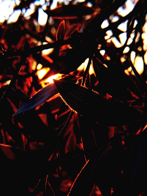 the light coming through