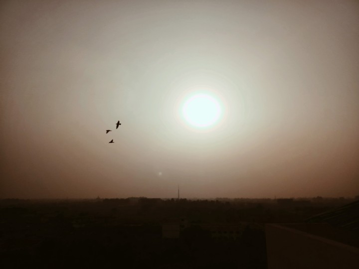 Sky