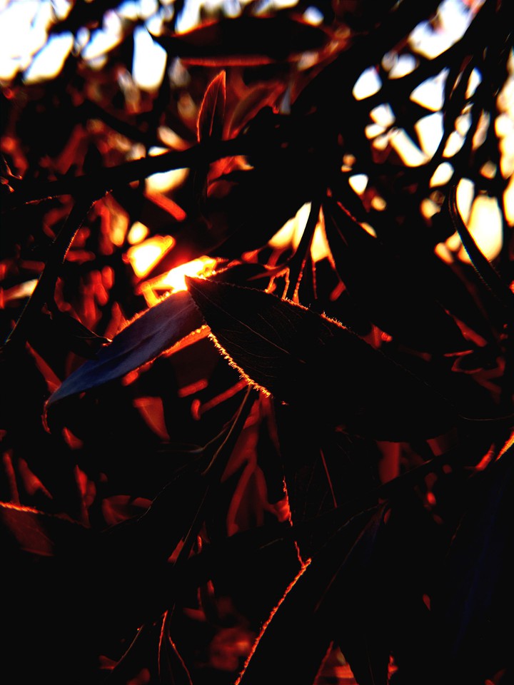 the light coming through