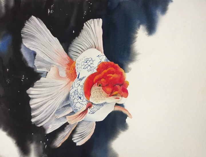 goldfish oranda