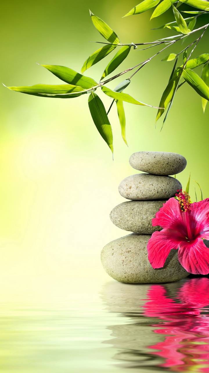 Zen Stone