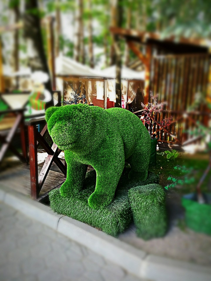 Green medved