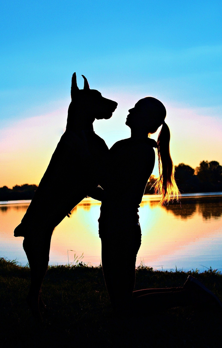 Dog & girl