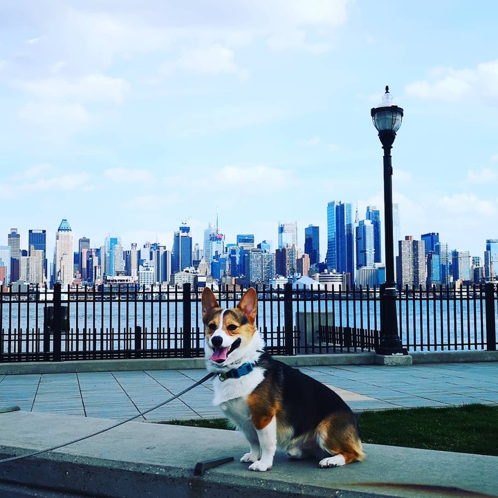 Manhattan
