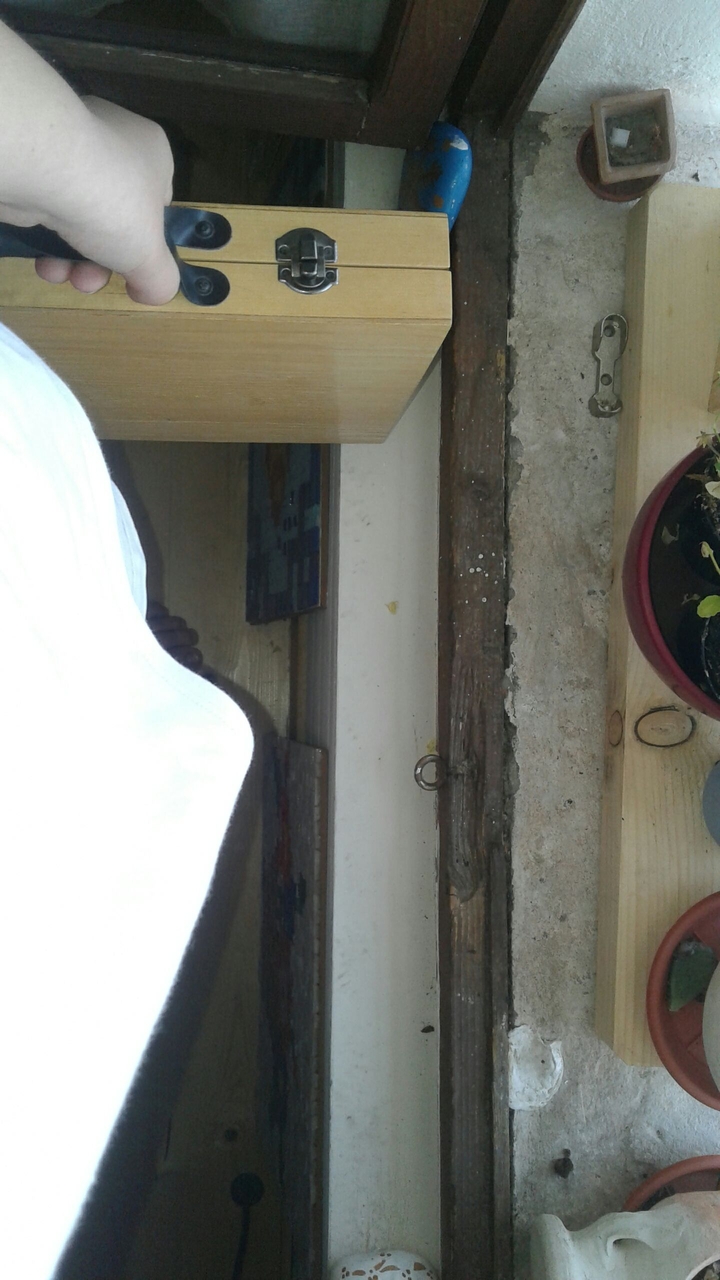 My Holliday si start