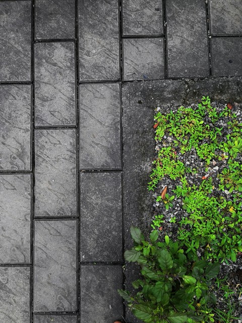 floor