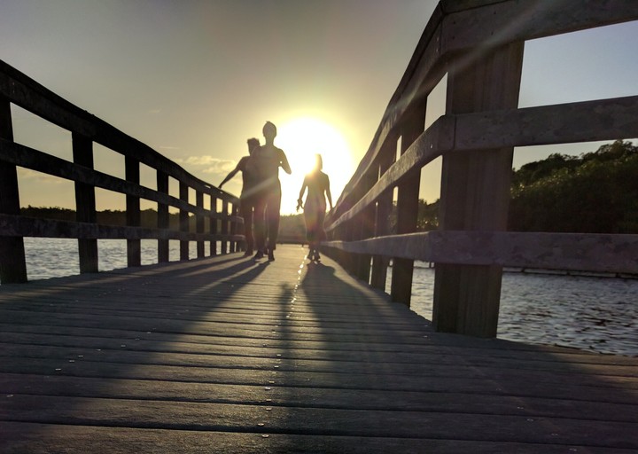 Sunny Silhouette