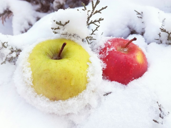 Apple