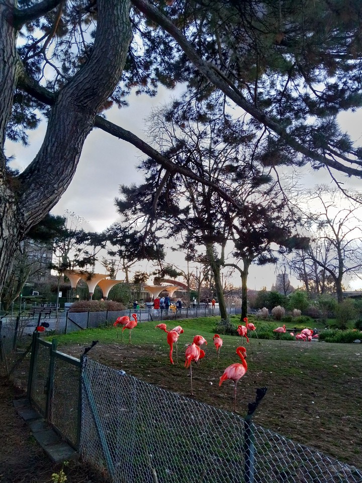 Zoo