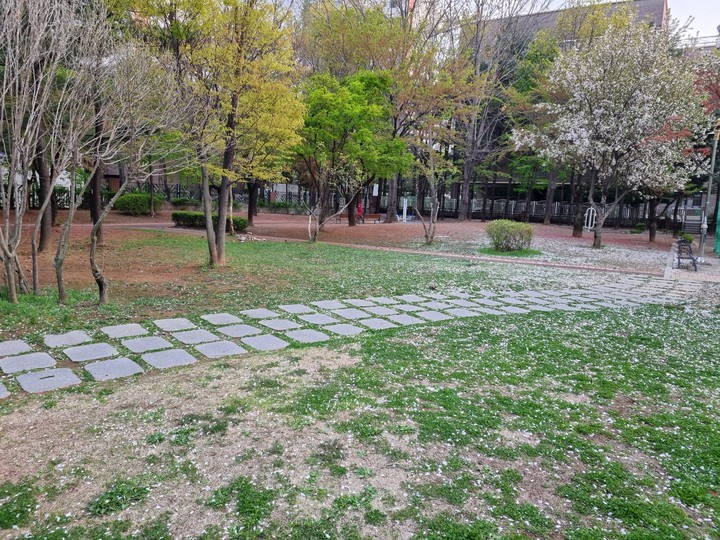 봄길
