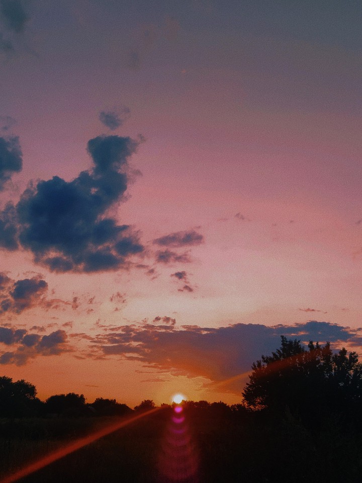 ✨