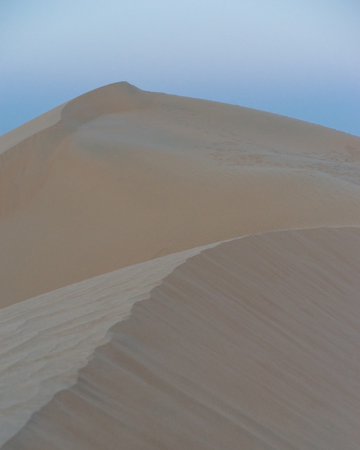 in the desert #2