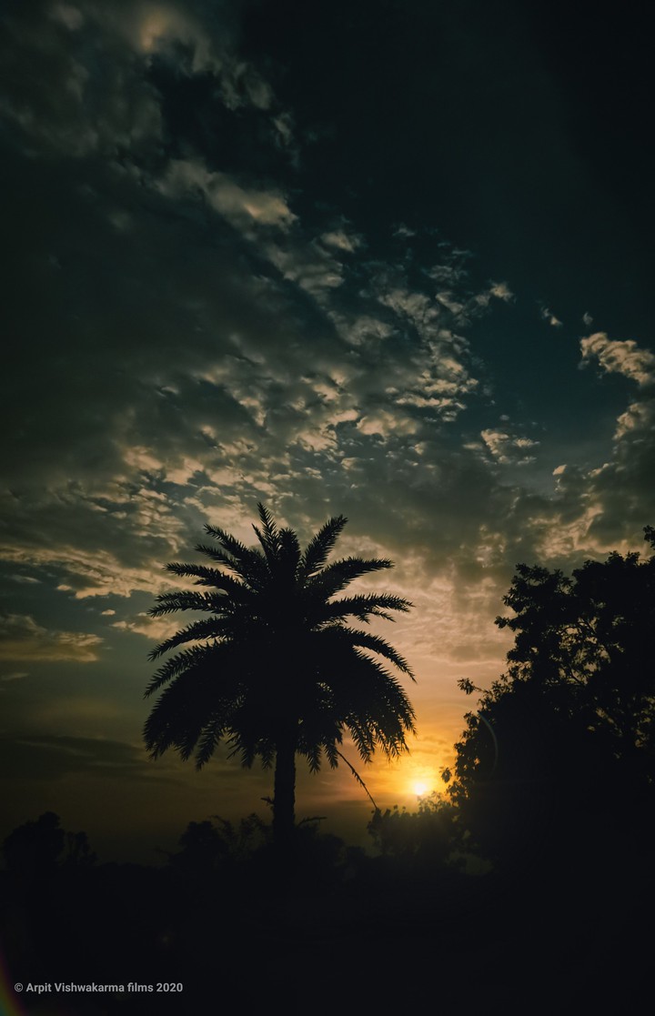Sunset Evening꧂