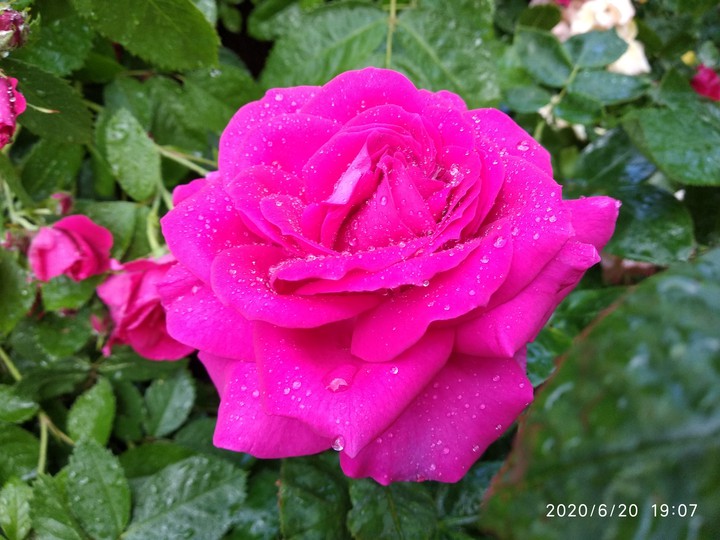 wonderful nature