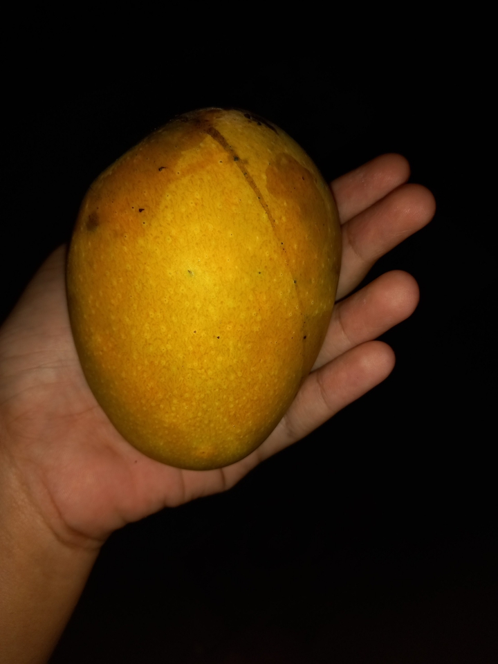 mango ???