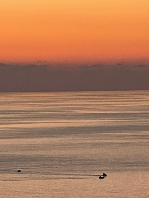 sfondi ecoregion, evening