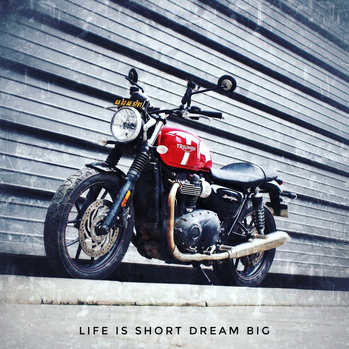 Triumph Twim