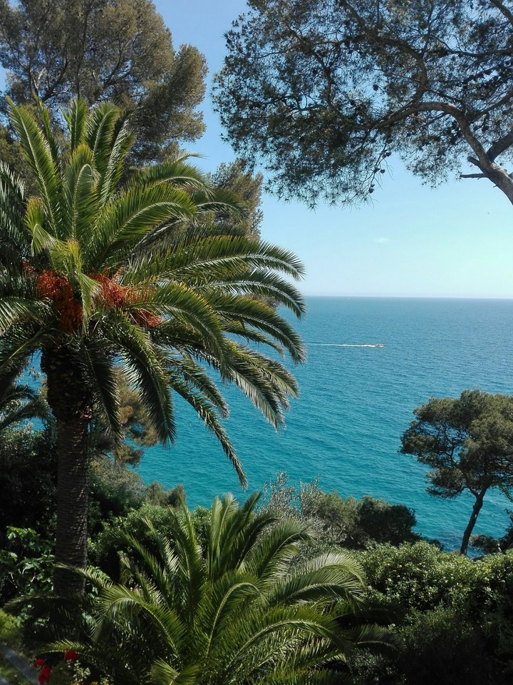 sea