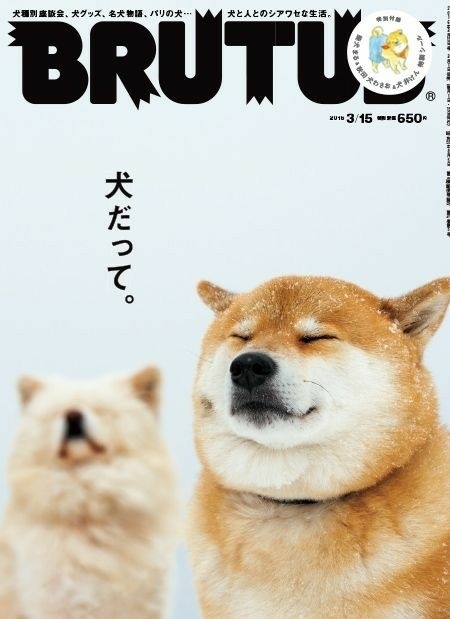 doge