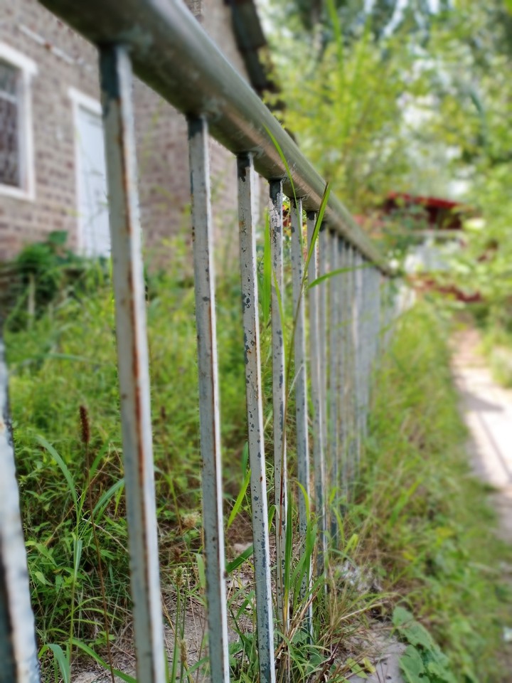 House Grill (Nature)