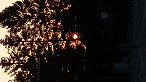 sun