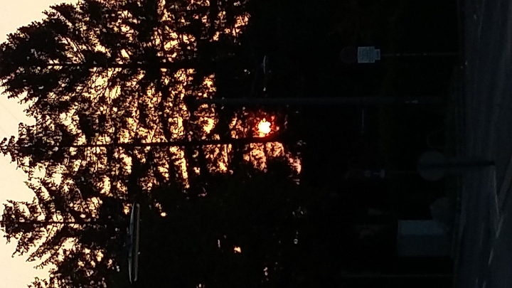 sun