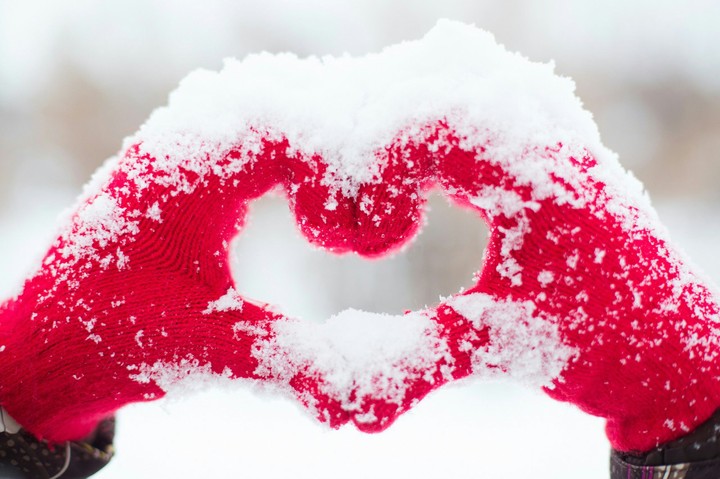 I love you my heart