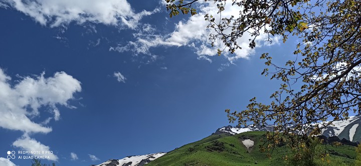 nature