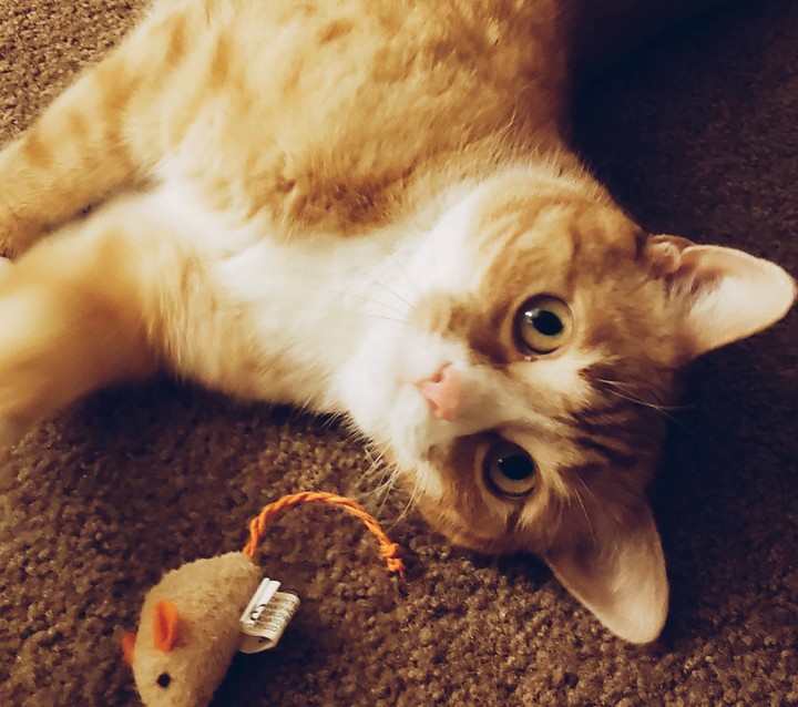 Taking a break from playtime.