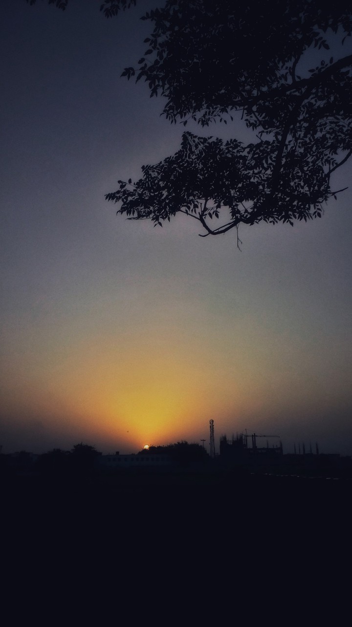 sunset
