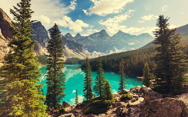 mountain and forest