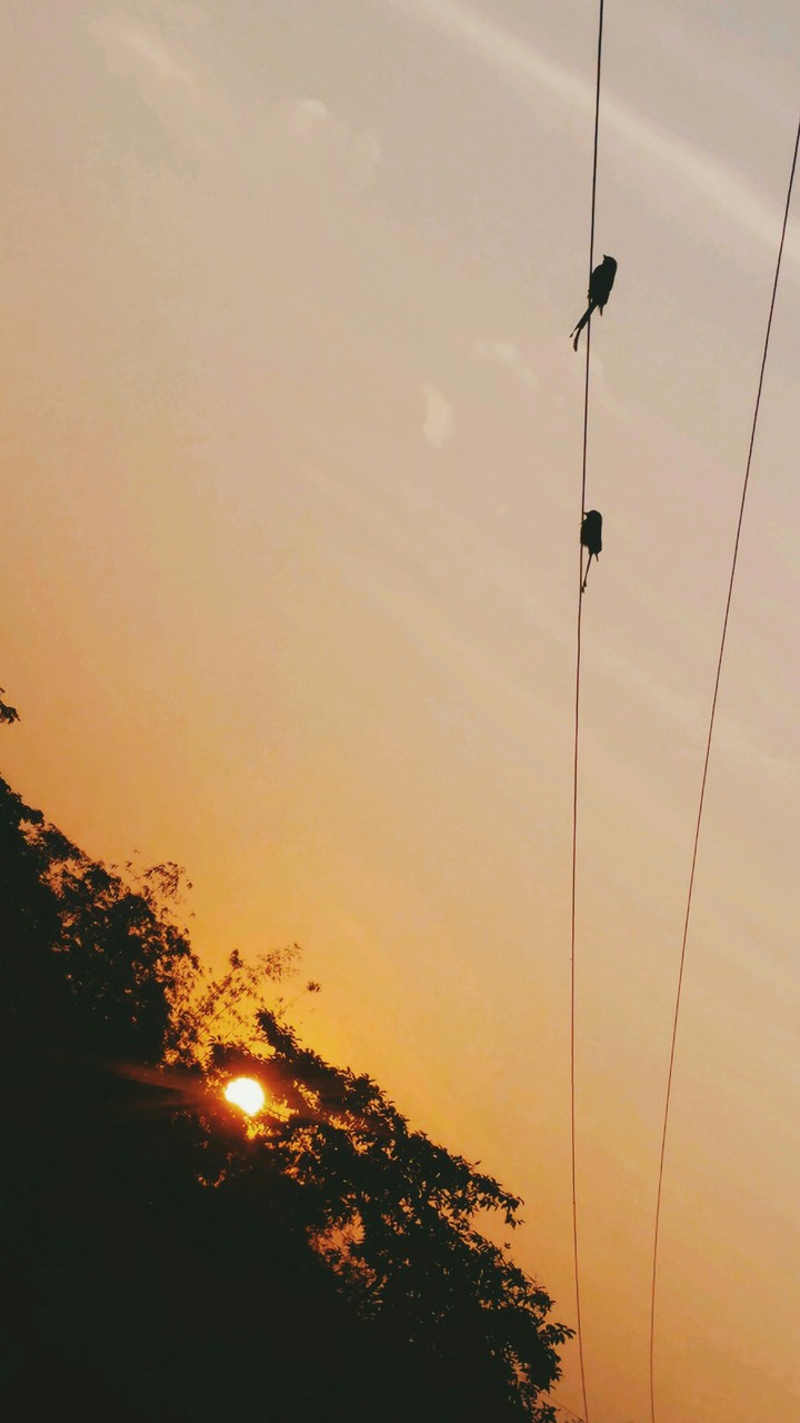 Mobile photography