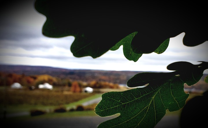 Country