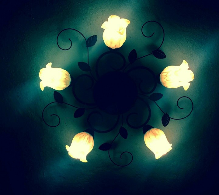 Glowing Flowers