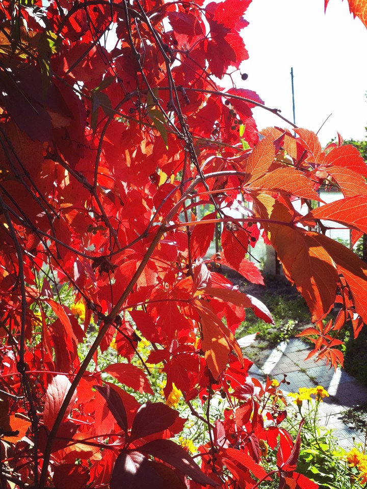 red