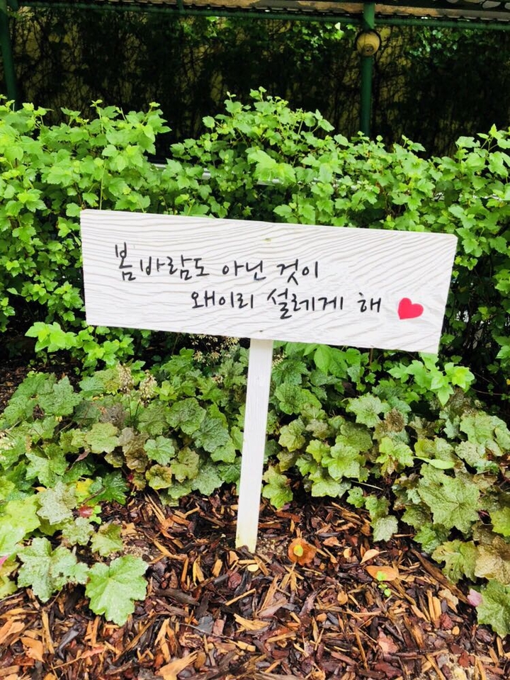 설렘