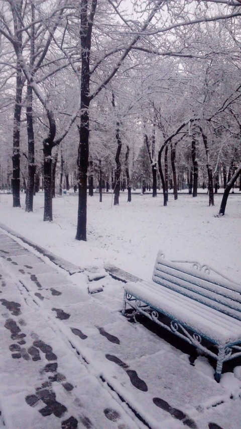 Winter park