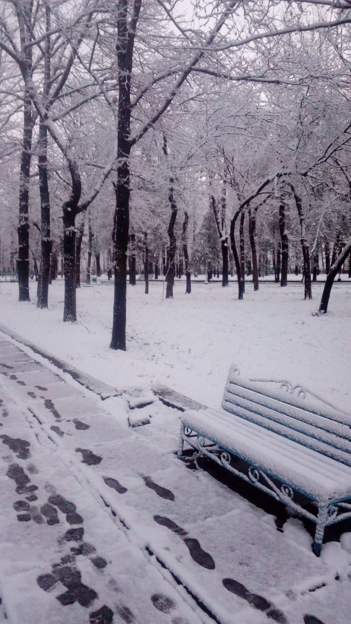 Winter park