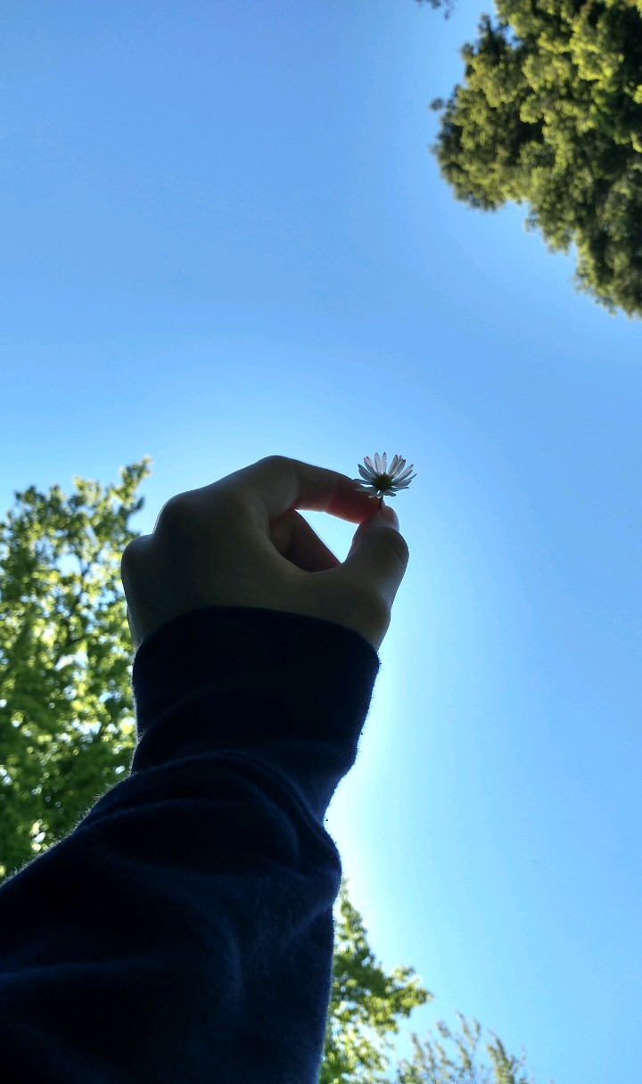 beautiful ?