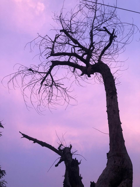 आसमान