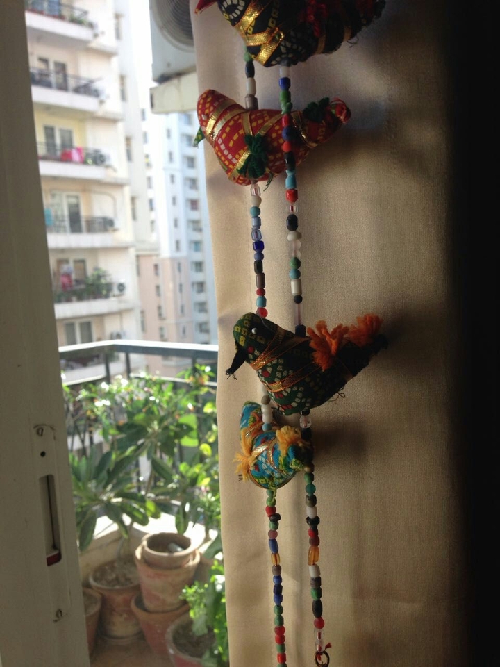 Hanging Birds