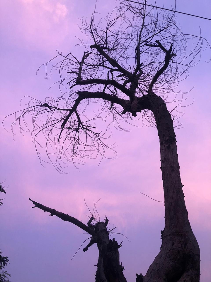 आसमान