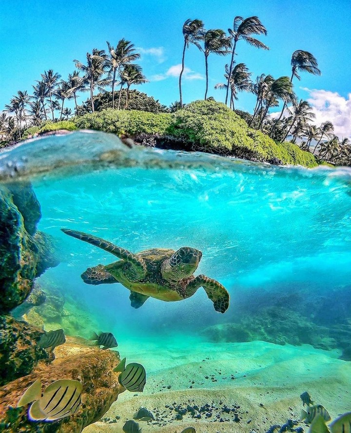 nature