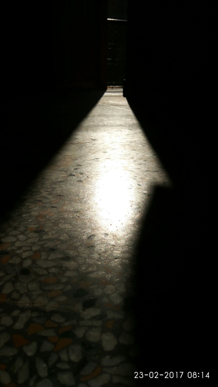 dark canopy