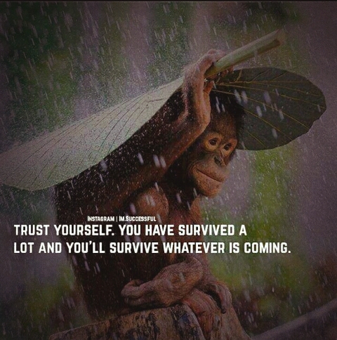 Lessons of Life