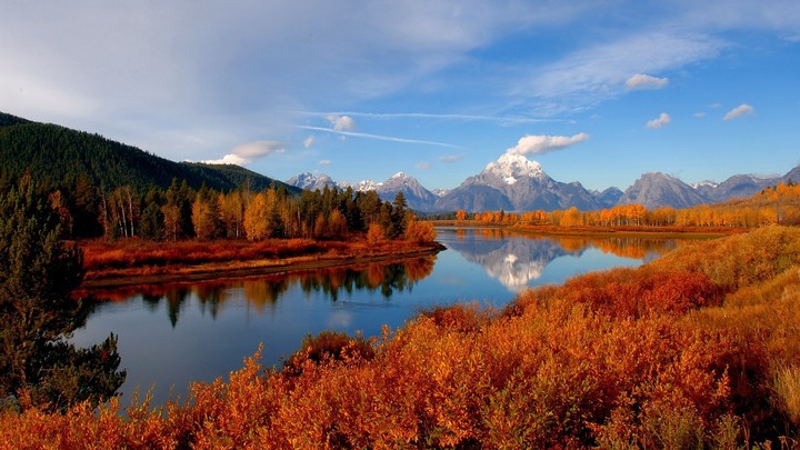 Autumn Trees by River